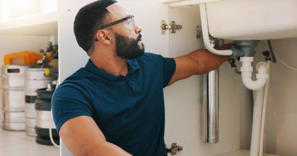 Best Plumbing Inspections & Maintenance in Roselle Park, NJ